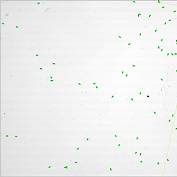 CNC加工件數量計算檢測