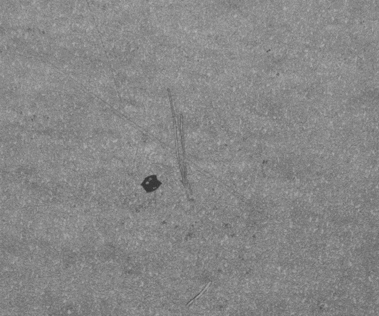 金屬表面瑕疵檢測