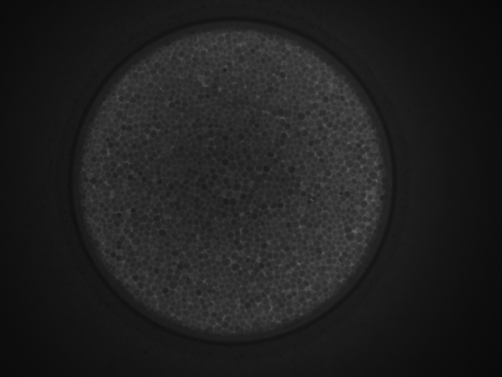 保麗龍杯底破洞檢測